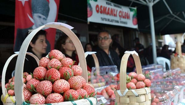 Ereğli Османски ягодов фестивал на културата и изкуството 