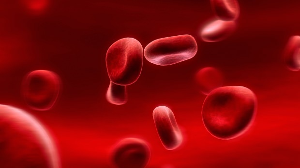 Какво представлява диетата на кръвна група? Как се прави?