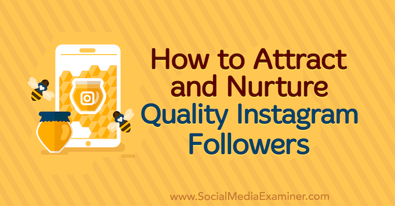 Как да привлечем и подхранваме качествени последователи на Instagram: Проверка на социалните медии