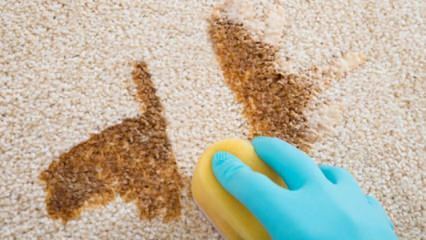 Как да си направите спрей за почистване на килими у дома?