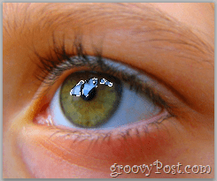 Основи на Adobe Photoshop - отражение за избор на Human Eye