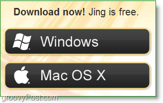 изтеглете jing безплатно в Windows или mac os x