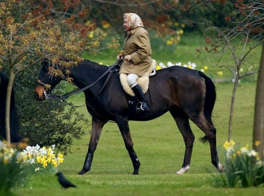 кралица Елизабет на конна езда 