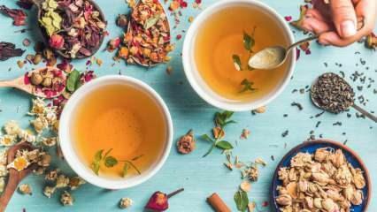 Кои са най-бързо изгарящите мазнини билкови чайове? 7-те най-ефективни билкови чайове за изгаряне на мазнини! 
