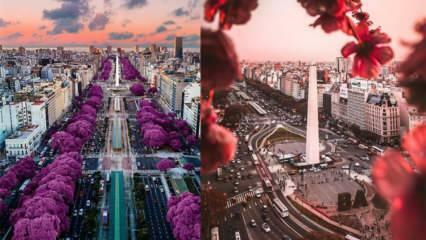 Градът на хубавото време: места за посещение в Буенос Айрес!