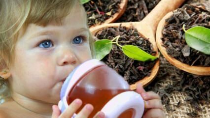 Могат ли бебетата да пият чай?