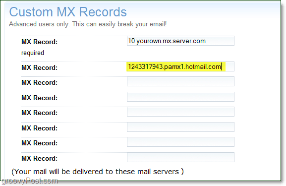 миналата информация за вашите услуги на живо mx сървър на страницата за разширени опции за вашия домейн за персонализирани записи mx