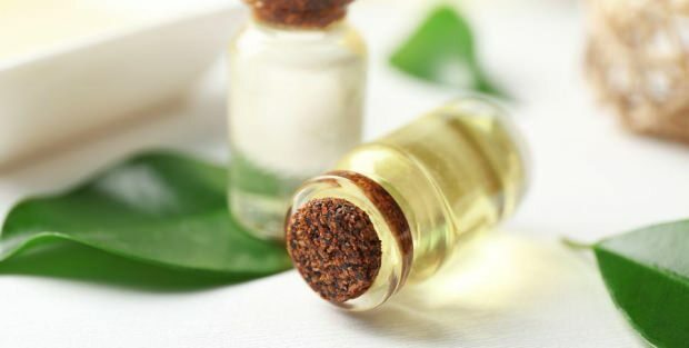 Какви са предимствата на крем от масло от чаено дърво за кожата? Препоръки за употреба на масло от чаено дърво