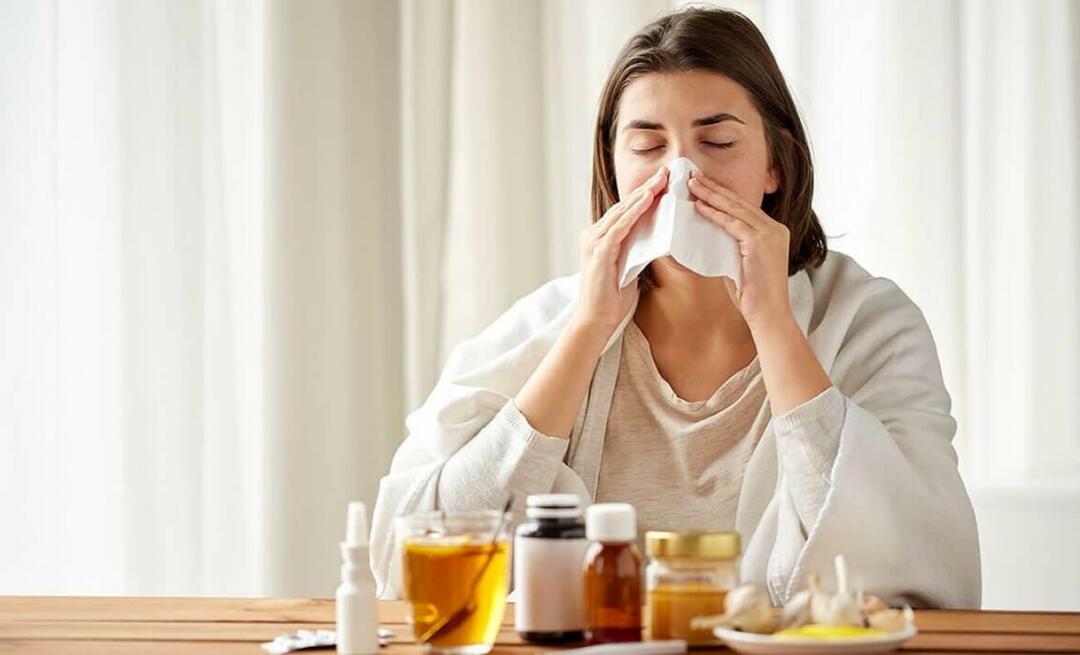 Какво представлява обикновената настинка? Кой билков чай ​​е полезен при настинки?