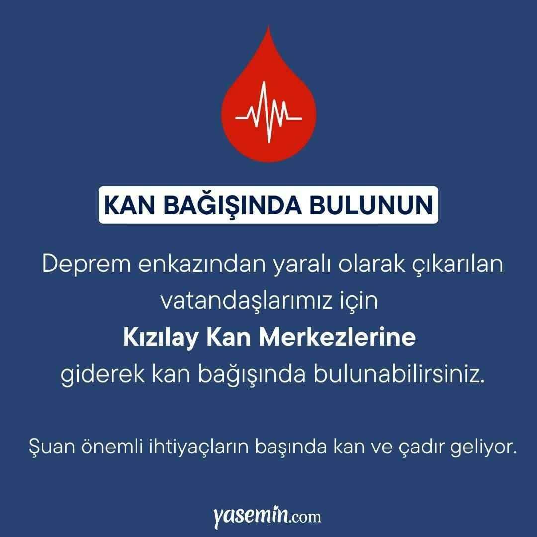 Кога е съвместното излъчване на Türkiye Single Heart, колко е часът? По кои канали е вечерта за помощ при земетресение?