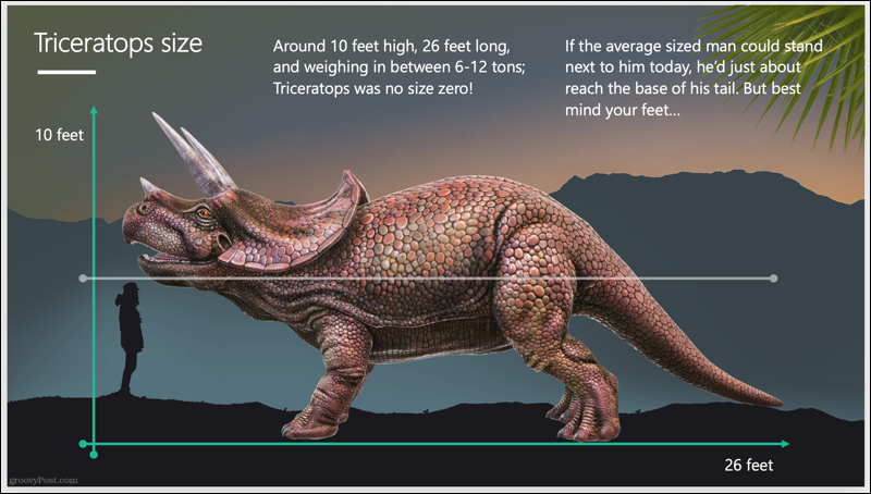 Слайдшоу на Triceratops