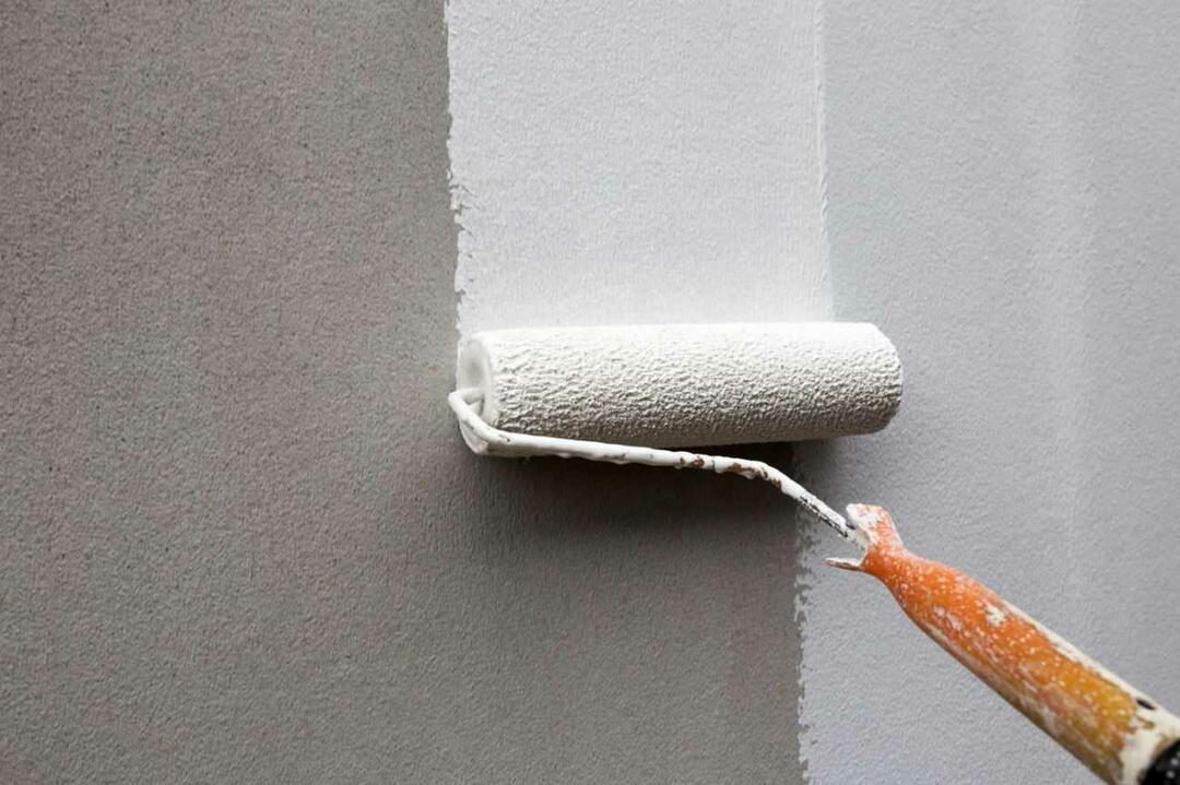 Живот на боята за стени 