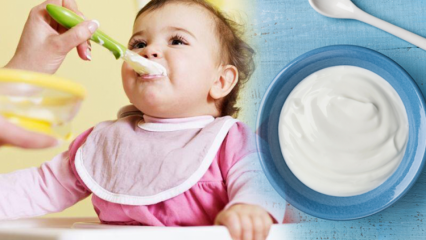 Как да си направим кисело мляко за бебета? Рецепти за домашно плодово кисело мляко за бебета