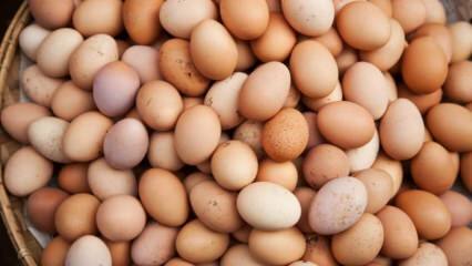 Какво трябва да се има предвид при избора на яйце?