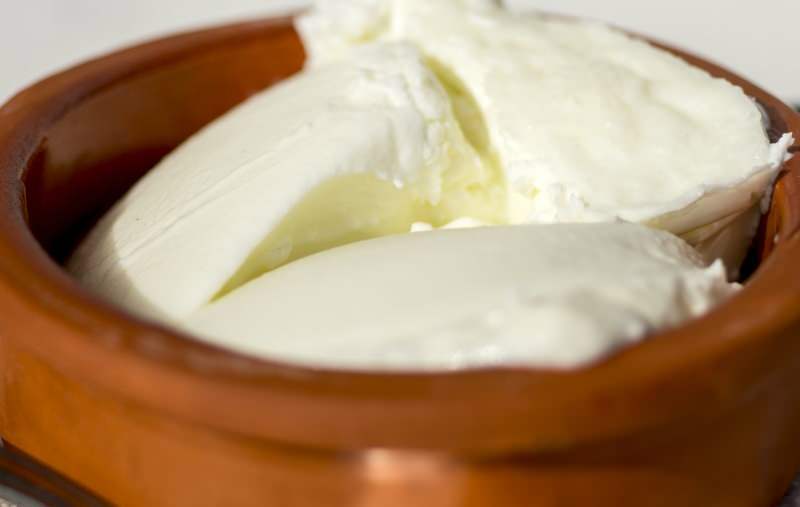 Какви са ползите от биволското кисело мляко? Как да си направим биволско кисело мляко и за какво е то?