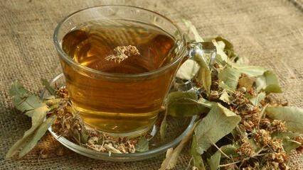 Какви са предимствата на липата? За кои заболявания са полезни? Как да си направим липов чай?