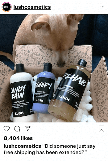 Бизнес публикация в Instagram с куче