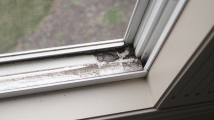 Как да почистите первазите на прозореца? 