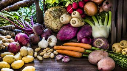 Какви са кореноплодните зеленчуци? Какви са ползите от кореноплодните зеленчуци?