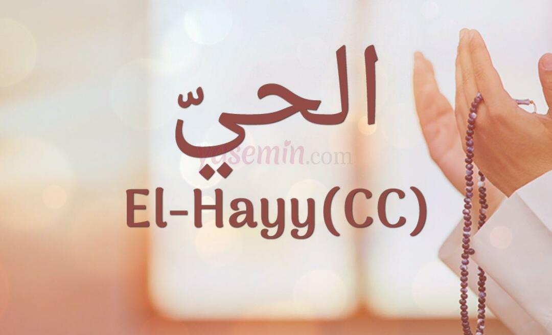 Какво означава El-Hayy (cc) от Esma-ul Husna? Какви са достойнствата на Ал-Хай (cc)?