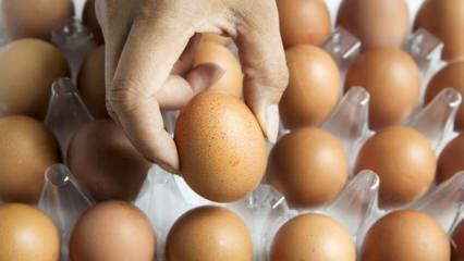Практически съвети за запазване на яйцата свежи